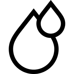 Professional Services